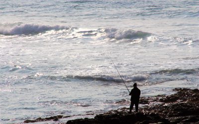 So nice you have to say it twice