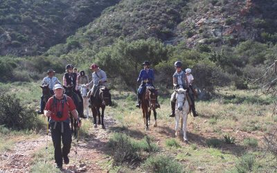 Pilgrims in the Baviaans