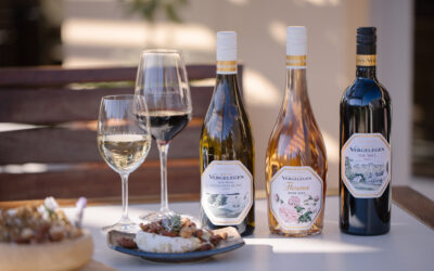 Discover the allure of Vergelegen