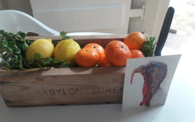 Feast for the senses