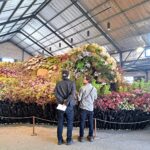 Flower fans